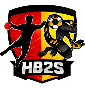 Logo Handball - Entente Saint-Sulpice Bessières